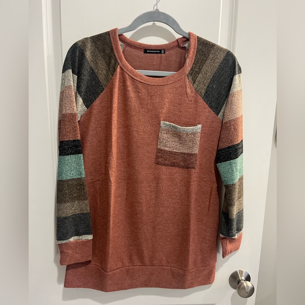 Rust Multicolored Sleeve Sweater Top